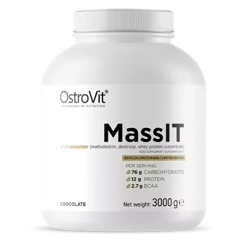 مس گینر آی تی استرویت - OstroVit Mass IT